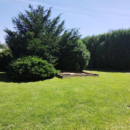 Penzion Kelt Otel Zátor Dış mekan fotoğraf